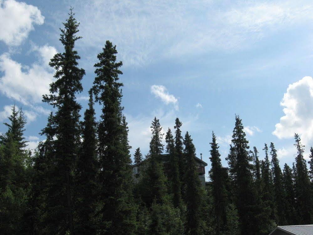The Perch Resort Denali Park Exterior foto