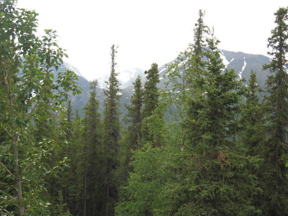 The Perch Resort Denali Park Exterior foto